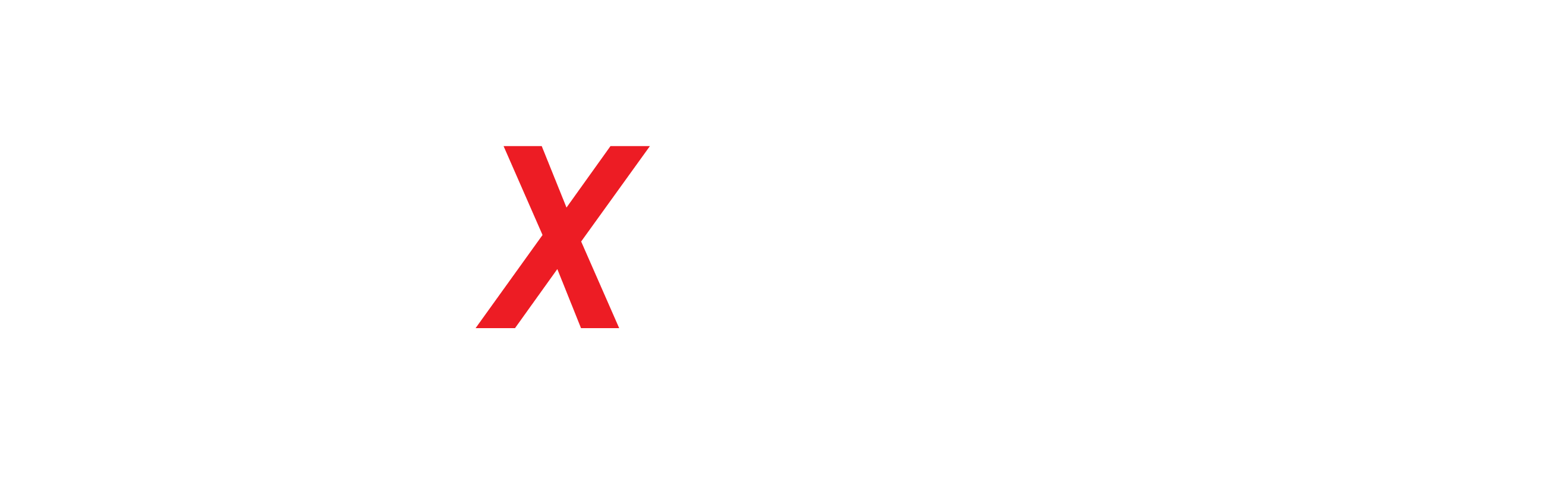 MaxSerwis Logo